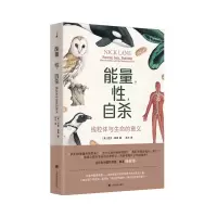 音像能量,,(译文科学)[英]尼克·莱恩著张力译