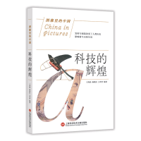 音像科技的辉煌/图像里的中国编者:王海晨//杨晓红//王希哲