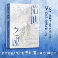 音像陷地之城天如玉
