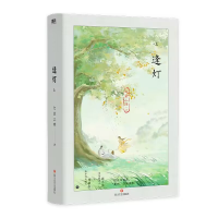 音像逢灯.上普通本飞机盒9787541164873