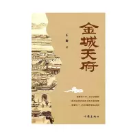 音像金城天府王冶