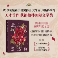 音像遗忘爱达荷(美)艾米丽?卢斯科维奇|译者:杨扬