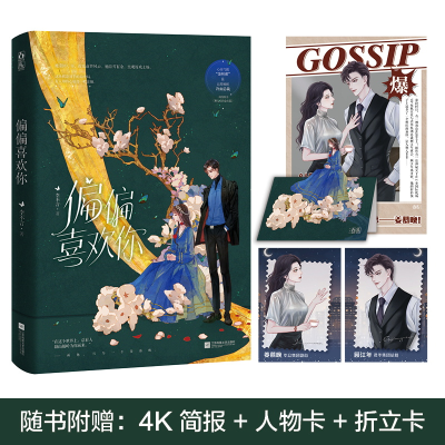音像偏偏喜欢你李不言