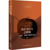 音像我们为什么会抑郁-——哀悼、忧郁与精神分析[英]达里安·利德