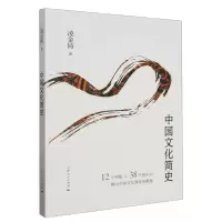 音像中国文化简史凌金铸 著