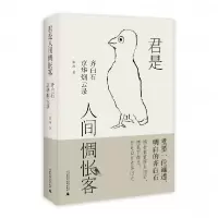音像君是人间惆怅客:齐白石京华烟云录张涛 著