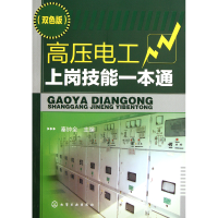音像高压电工上岗技能一本通(双色版)秦钟全