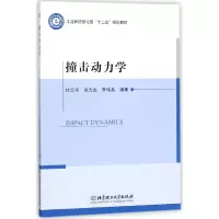 音像撞击动力学(十二五规划教材)编者:杜忠华//高光发//李伟兵