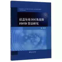音像拉盖尔基分区及高效FDTD算法研究张波