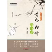 音像黄帝内针践行录(第2版全彩配图版)赖梅生