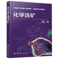 音像化学选矿(矿物加工工程卓越培养应用型规划教材)何东升 著