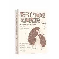 音像孩子的问题是问题吗:智慧父母必知的心理成长秘密李峥嵘著
