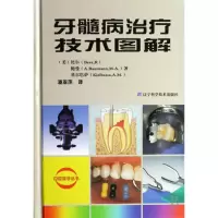 音像牙髓病治疗技术图解(精)/口腔医学丛书比尔