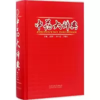 音像大辞典(精)苗明三