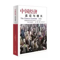 音像中国经济(适应与增长第2版)[美]巴里·诺顿 著 安佳 译