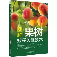 音像图解果树嫁接关键技术石海强 杜纪壮 主编