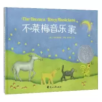 音像不莱梅音乐家(精)(美)艾斯·普拉姆