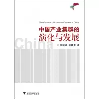 音像中业集群的演化与发展张晓波