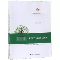 音像文化产业政策与法规/文化产业安全与管理丛书张书勤