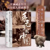 音像手艺里的中国李武望