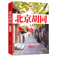 音像北京胡同(图文纪实)马玲