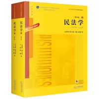 音像民法学(上下第6版普通高等教育法学规划教材)王利明