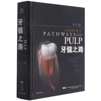 音像牙髓之路十版肯尼斯-M.哈格里夫