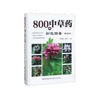 音像800种草彩色图鉴(精选版)(精)陈虎彪,杨全