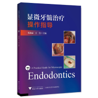 音像显微牙髓治疗操作指导邓淑丽