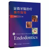 音像显微牙髓治疗操作指导邓淑丽