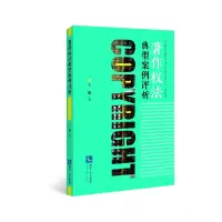 音像著作权法典型案例评析王渊 著