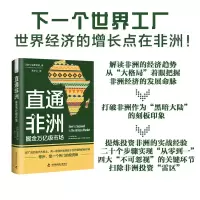 音像直通非洲:掘金万亿级市场[南非] 温弗雷德
