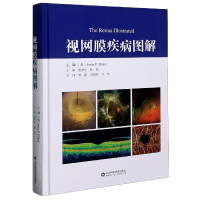 音像视网膜疾病图解(精)不详