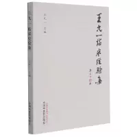 音像王九一临床经验集王九一 著