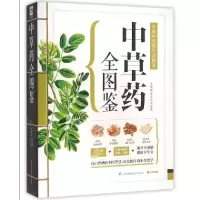 音像草全图鉴温玉波