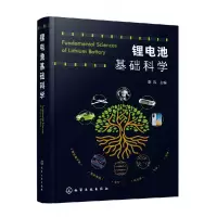音像锂电池基础科学编者:李泓|责编:郗向丽