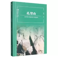 音像孔望山/符号江苏口袋本赵鸣