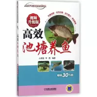 音像高效池塘养鱼(视频升级版)/高效养殖致富直通车占家智