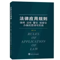 音像法律应用规则(律师法官警官检察官办案的原理与实践)朱伟
