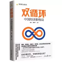 音像双循环(中国经济新格局)/中国金融四十人论坛书系陈元黄益平