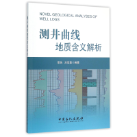音像测井曲线地质含义解析李浩