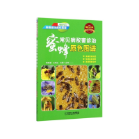 音像蜜蜂常见病敌害诊治原色图谱(疾病诊治原色图谱)姬聪慧