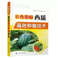音像彩色图解西瓜高效种植技术贾文海、刘伟、乔淑芹