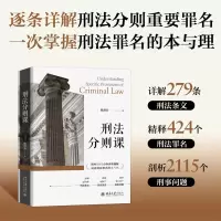音像刑法分则课陈洪兵
