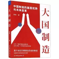 音像大国制造(中国制造的基因优势与未来变革)郭斌