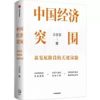 音像中国经济突围:新发展阶段的关键议题王东京
