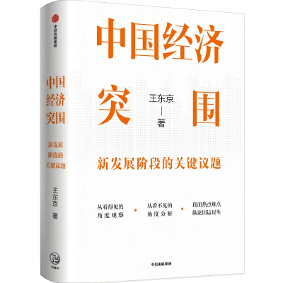 音像中国经济突围:新发展阶段的关键议题王东京