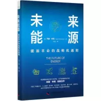 音像未来能源(能源的战略机遇期)(精)(美)杰森·辛克