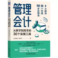 音像管理会计:从新手高的30个实操工具[新加坡]钱自严 著