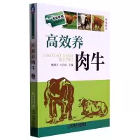 音像高效养肉牛(双色印刷)/高效养殖致富直通车魏刚才